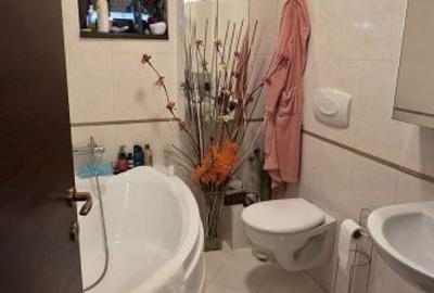 Apartament cu 3 camere decomandat în Găvana - 5