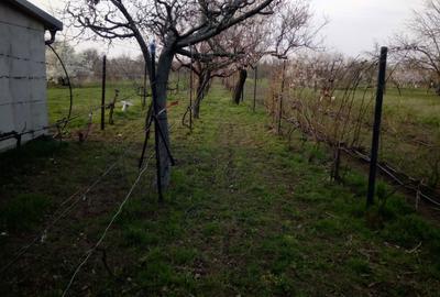 Casă în Central - 7