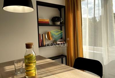 Garsoniera renovata modern str Nada Florilor - Teiul Domnei - 54