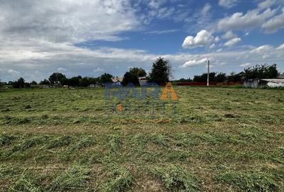 Casă cu 2 camere cu Canalizare în Miron Costin - 10