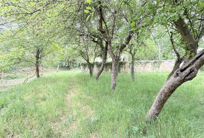 Casă individuală cu 6 camere cu Teren 10000 Mp în Caransebeș - 12