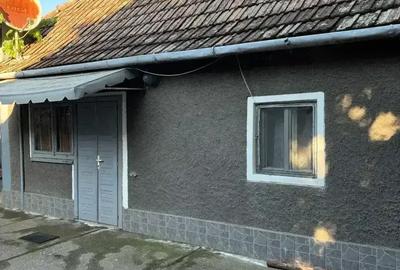 Casa de Vanzare in sat Crai Nou - 6