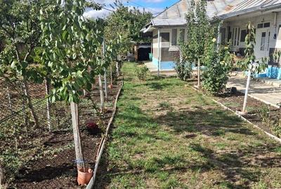 Casă cu 3 camere în Vetrișoaia - 5