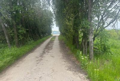 Teren de 46000 mp, în Central - 15
