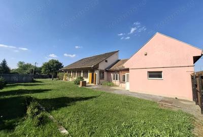 Casă cu 3 camere cu Teren 1130 Mp în Gheorghe Doja - 4