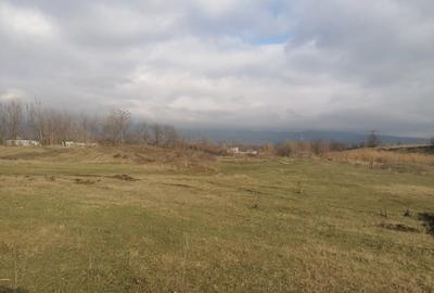 Teren de 22300 mp, în Central - 4