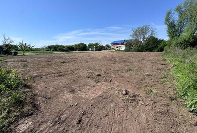 Spațiu comercial, în Central