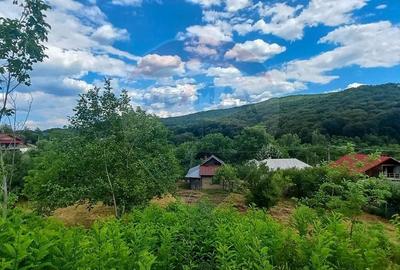 Teren Construcții intravilan de 3551 mp, în Poiana Copăceni - 11