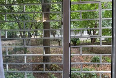 Apartament cu 2 camere semidecomandat în City Park Mall - 4