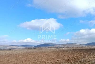 Teren de 5200 mp, în Central - 1