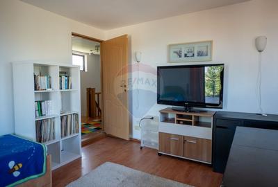 Casa / Vila de Vanzare - 13