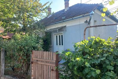 Cas de vanzare in Uileacul de Cri? - 5