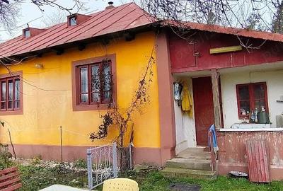 Casă cu 3 camere cu Teren 6100 Mp în Constantinești - 3