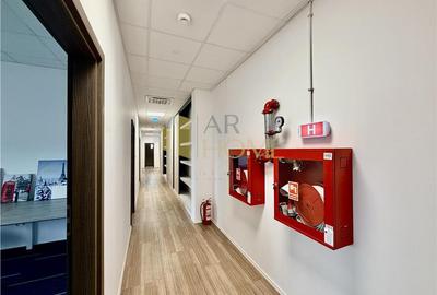 Hala industriala premium cu birouri | Parc Industrial Vest | Acces TIR - 15