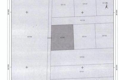 Teren de 455 mp, în Ciolpani - 12