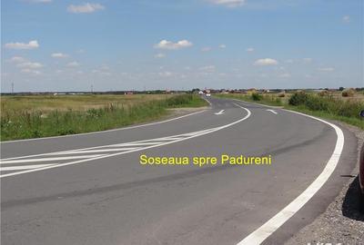 Teren de 10750 mp, în Pădurani - 3
