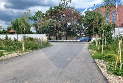 Teren 504mp Pantelimon / Cernica/  Lacul Pantelimon - 5