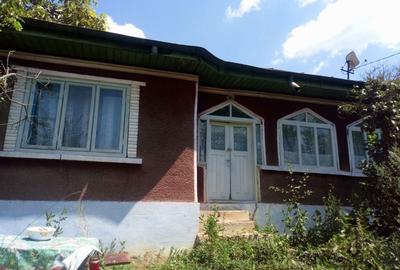 Casă cu 3 camere cu Teren 5000 Mp în Central - 3