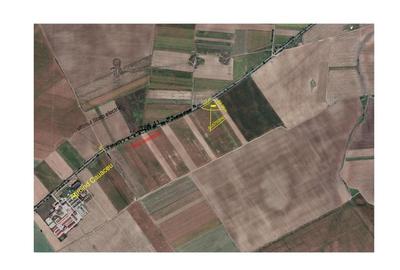 Teren agricol extravilan de 5700 mp, în Biharia