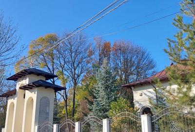 TEREN INTRAVILAN, 1800 mp langa Hornbach - 2