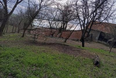 Casă individuală cu 4 camere cu Teren 1708 Mp în Ghirbom - 7