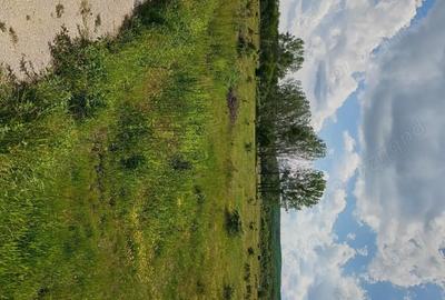 Teren de 1500 mp, în Merișani - 4