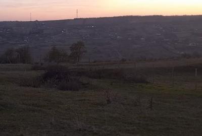 Spațiu comercial, în Central - 2