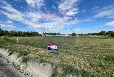 Teren Construcții intravilan de 3492 mp, în Bizighești - 5