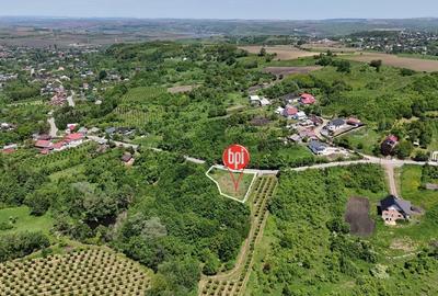 Teren Construcții intravilan de 1313 mp, în Rădășeni - 6