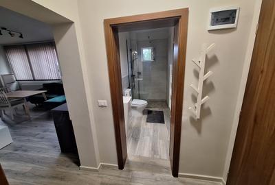 Apartament cu 2 camere semidecomandat în Iosefin - 10