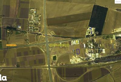 Teren de 5000 mp, în Palas - 8