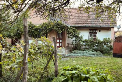 Casă cu 2 camere în Păsăreni - 4