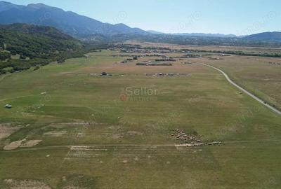 Teren de 14500 mp, în Glăjărie - 11