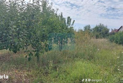 Casă cu 8 camere cu Teren 5000 Mp în Bengești - 3