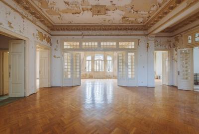 REV2000724 Vila deosebita Lascar Catargiu gradina mare - 7