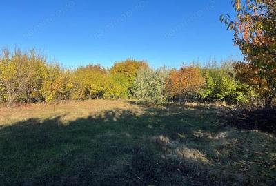 Teren constructie 800mp Rediu Horlesti - 1