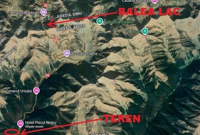 TEREN EXTRAVILAN PADURE PISCUL NEGRU ARGES - 7