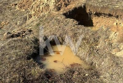 Teren 16469 mp extravilan arabil  Poiana Marului zona Vulcanita - 9