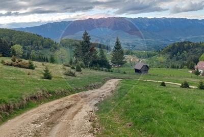 O fereastra catre cer - teren de vis in Fundata, la poalele Bucegilor - 25