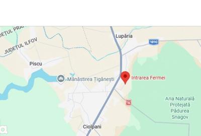 Teren de 7000 mp, în Ciolpani - 2