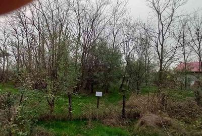 Teren de vanzare, judet Ialomita, comuna Salcioara, Rasi - 3