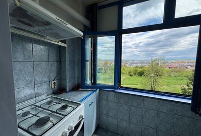 Apartament cu 2 camere decomandat în Vasile Aaron - 12