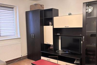 Ap 2 camere Florilor PET friendly - de inchiriat - 9