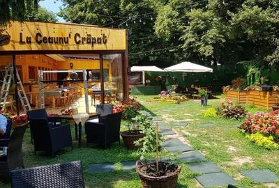 Spatiu  comercial -Parc Herastrau - 7