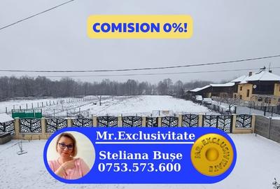 Teren mixt de vanzare Crasna- Gorj, aproape de Ranca– 19.209 mp - 1