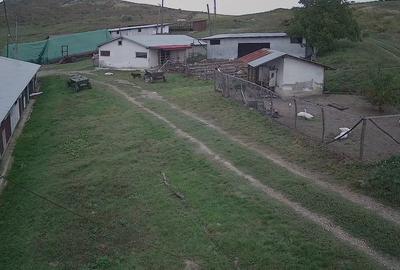 Dorohoi, Botosani - 10