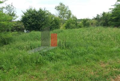 Buftea, teren cu iesire la lac - 7