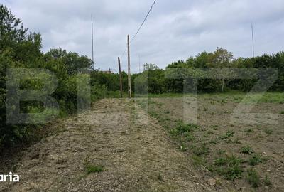 Teren de 5000 mp, în Lucian Blaga