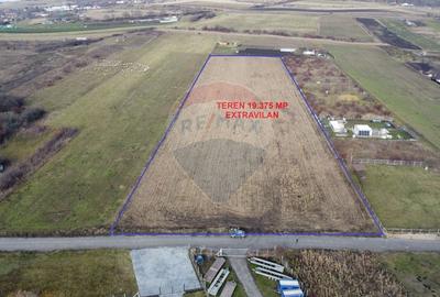 Teren agricol extravilan de 19375 mp, în Dâmbul Rotund - 1