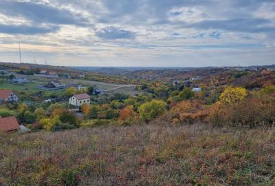 Teren de 2100 mp, în Spitalul Județean